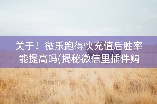 关于！微乐跑得快充值后胜率能提高吗(揭秘微信里插件购买)