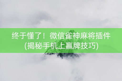终于懂了！微信雀神麻将插件(揭秘手机上赢牌技巧)