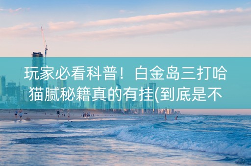 玩家必看科普！白金岛三打哈猫腻秘籍真的有挂(到底是不是有挂)