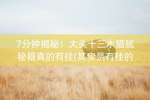7分钟揭秘！大头十三水猫腻秘籍真的有挂(其实是有挂的)