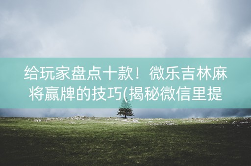 给玩家盘点十款！微乐吉林麻将赢牌的技巧(揭秘微信里提高胜率)