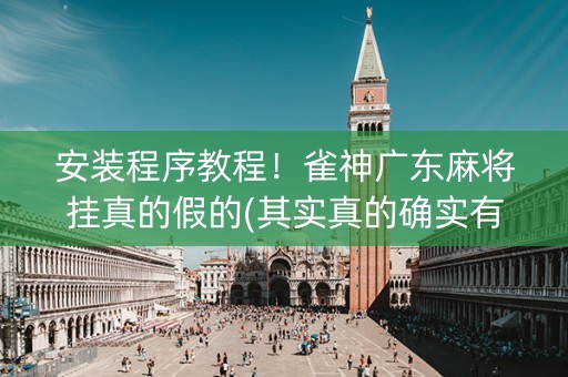 安装程序教程！雀神广东麻将挂真的假的(其实真的确实有挂)