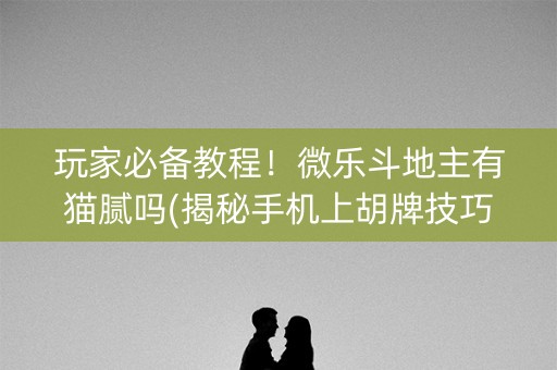 玩家必备教程！微乐斗地主有猫腻吗(揭秘手机上胡牌技巧)