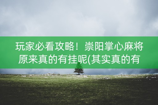 玩家必看攻略！崇阳掌心麻将原来真的有挂呢(其实真的有挂)