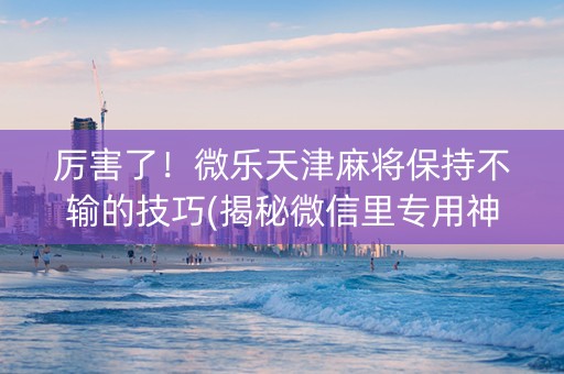 厉害了！微乐天津麻将保持不输的技巧(揭秘微信里专用神器)