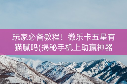 玩家必备教程！微乐卡五星有猫腻吗(揭秘手机上助赢神器购买)