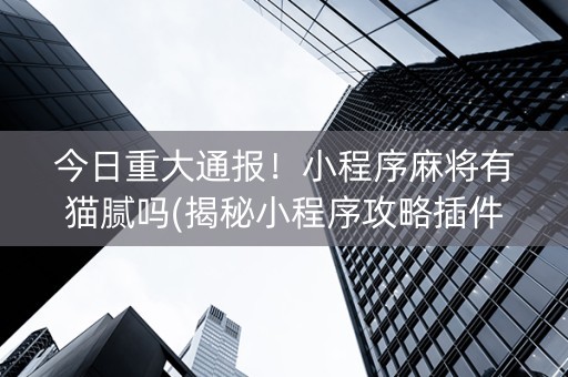 今日重大通报！小程序麻将有猫腻吗(揭秘小程序攻略插件)