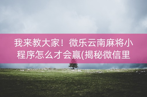 我来教大家！微乐云南麻将小程序怎么才会赢(揭秘微信里插件下载)