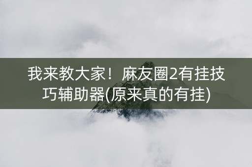 我来教大家！麻友圈2有挂技巧辅助器(原来真的有挂)