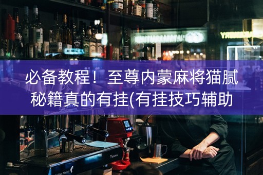 必备教程！至尊内蒙麻将猫腻秘籍真的有挂(有挂技巧辅助器)