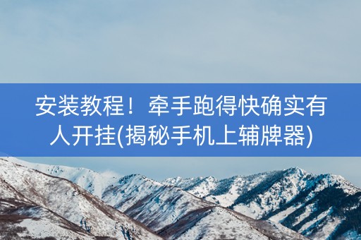 安装教程！牵手跑得快确实有人开挂(揭秘手机上辅牌器)