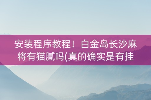 安装程序教程！白金岛长沙麻将有猫腻吗(真的确实是有挂)