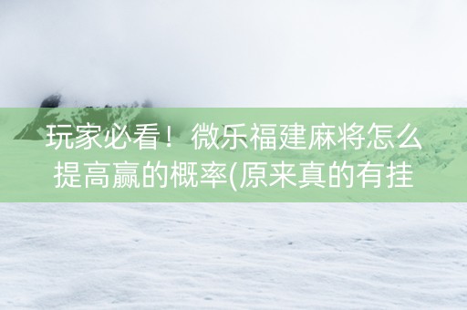 玩家必看！微乐福建麻将怎么提高赢的概率(原来真的有挂)