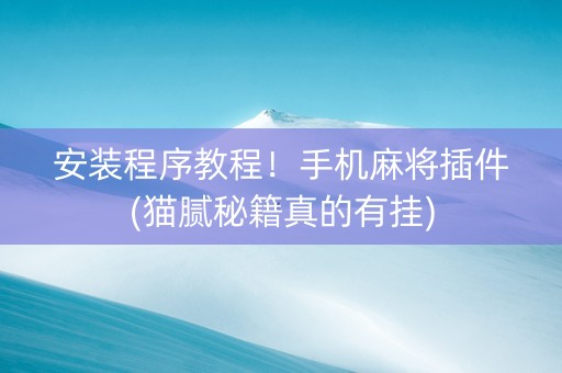 安装程序教程！手机麻将插件(猫腻秘籍真的有挂)