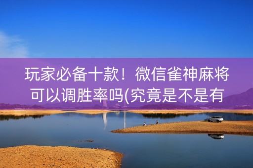 玩家必备十款！微信雀神麻将可以调胜率吗(究竟是不是有挂)
