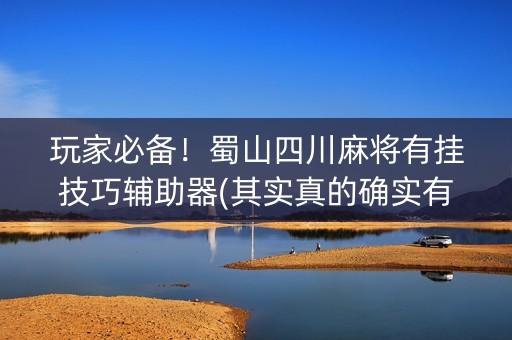 玩家必备！蜀山四川麻将有挂技巧辅助器(其实真的确实有挂)