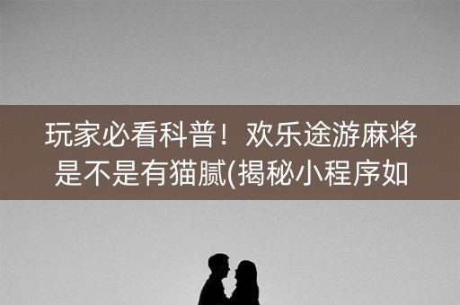 玩家必看科普！欢乐途游麻将是不是有猫腻(揭秘小程序如何让牌变好)