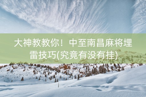 大神教教你！中至南昌麻将埋雷技巧(究竟有没有挂)