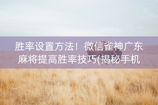 胜率设置方法！微信雀神广东麻将提高胜率技巧(揭秘手机上胡牌技巧)
