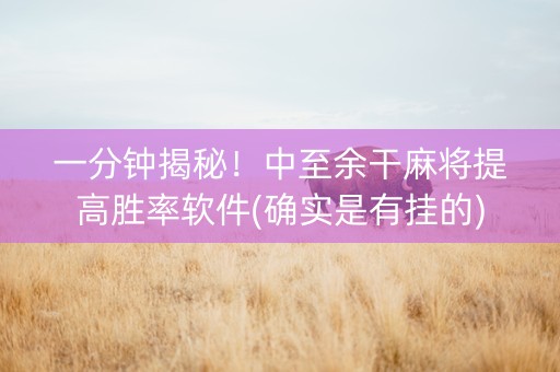 一分钟揭秘！中至余干麻将提高胜率软件(确实是有挂的)