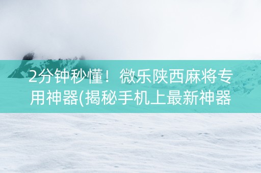 2分钟秒懂！微乐陕西麻将专用神器(揭秘手机上最新神器下载)