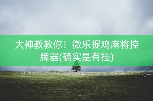 大神教教你！微乐捉鸡麻将控牌器(确实是有挂)