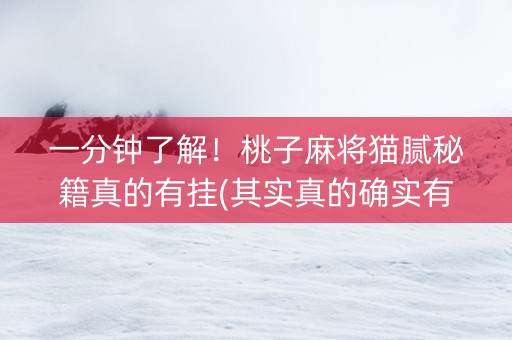 一分钟了解！桃子麻将猫腻秘籍真的有挂(其实真的确实有挂)