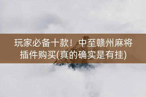 玩家必备十款！中至赣州麻将插件购买(真的确实是有挂)