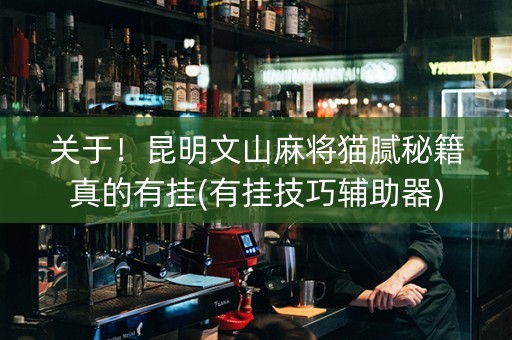 关于！昆明文山麻将猫腻秘籍真的有挂(有挂技巧辅助器)