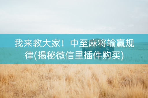 我来教大家！中至麻将输赢规律(揭秘微信里插件购买)