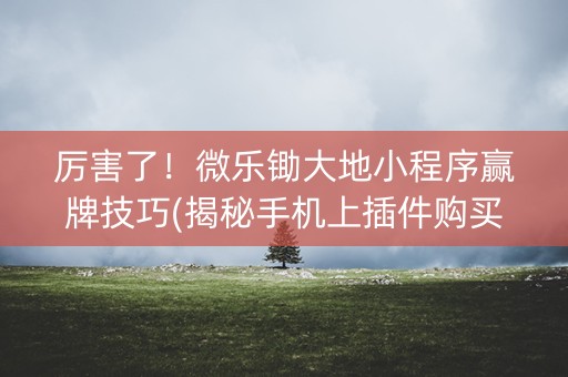 厉害了！微乐锄大地小程序赢牌技巧(揭秘手机上插件购买)