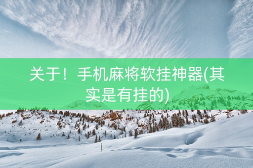 关于！手机麻将软挂神器(其实是有挂的)
