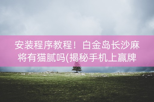 安装程序教程！白金岛长沙麻将有猫腻吗(揭秘手机上赢牌的技巧)