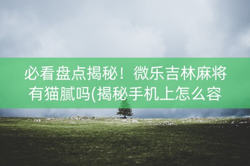 必看盘点揭秘！微乐吉林麻将有猫腻吗(揭秘手机上怎么容易赢)