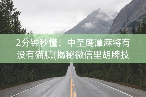2分钟秒懂！中至鹰潭麻将有没有猫腻(揭秘微信里胡牌技巧)