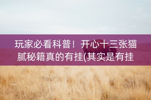 玩家必看科普！开心十三张猫腻秘籍真的有挂(其实是有挂的)