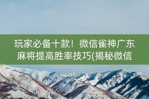 玩家必备十款！微信雀神广东麻将提高胜率技巧(揭秘微信里辅牌器)