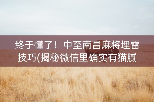 终于懂了！中至南昌麻将埋雷技巧(揭秘微信里确实有猫腻)