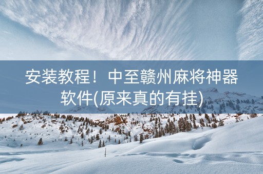 安装教程！中至赣州麻将神器软件(原来真的有挂)