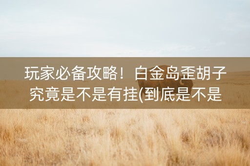 玩家必备攻略！白金岛歪胡子究竟是不是有挂(到底是不是有挂)