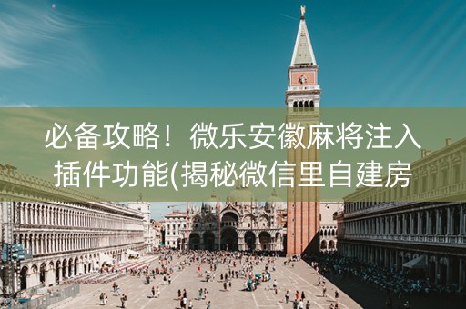 必备攻略！微乐安徽麻将注入插件功能(揭秘微信里自建房怎么赢)