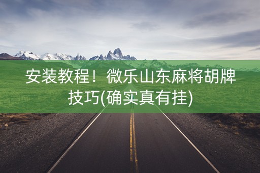 安装教程！微乐山东麻将胡牌技巧(确实真有挂)