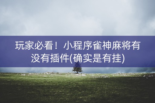 玩家必看！小程序雀神麻将有没有插件(确实是有挂)