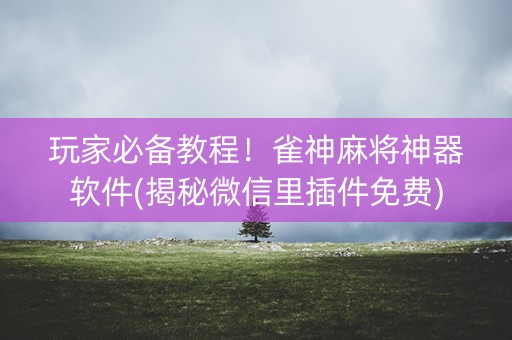 玩家必备教程！雀神麻将神器软件(揭秘微信里插件免费)