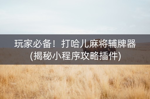 玩家必备！打哈儿麻将辅牌器(揭秘小程序攻略插件)