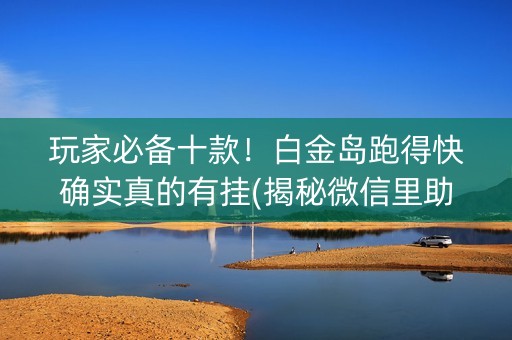 玩家必备十款！白金岛跑得快确实真的有挂(揭秘微信里助赢软件)