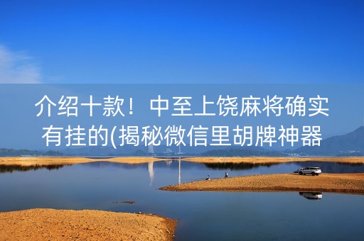 介绍十款！中至上饶麻将确实有挂的(揭秘微信里胡牌神器)