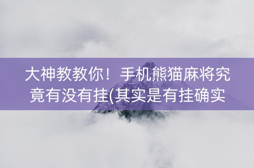 大神教教你！手机熊猫麻将究竟有没有挂(其实是有挂确实有挂)