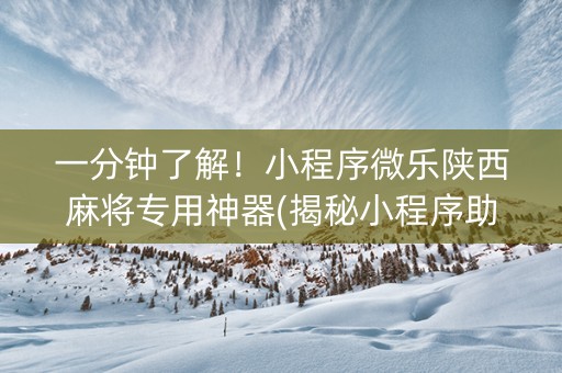 一分钟了解！小程序微乐陕西麻将专用神器(揭秘小程序助攻神器)