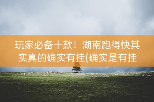玩家必备十款！湖南跑得快其实真的确实有挂(确实是有挂的)